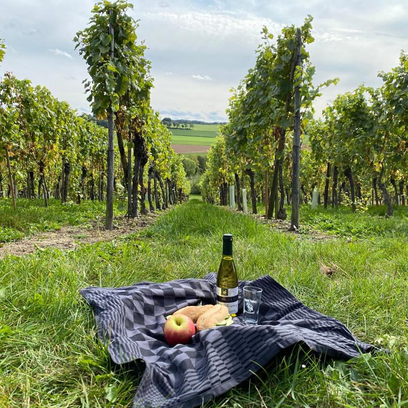 Een picknickdekentje met wijn, fruit en broodjes tussen de wijngaard met uitzicht op de heuvels