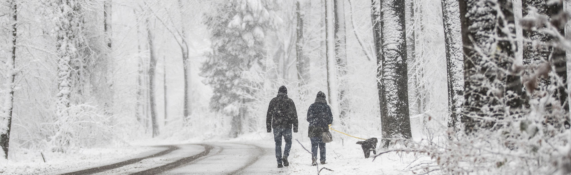 Twee wandelaars wandelen in een sneeuwbui door een wit bos