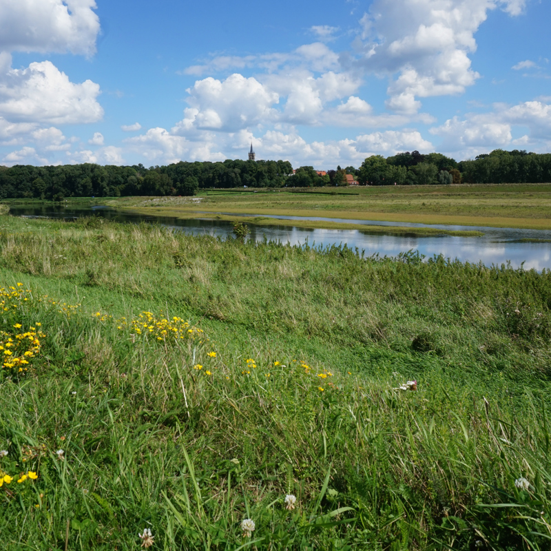 Een sereen natuurlandschap met weiland en uiterwaarden met uitzicht op de kerk in Stein