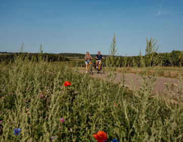 Man en vrouw fietsen op de Fromberg met veldbloemen aan de kant. 