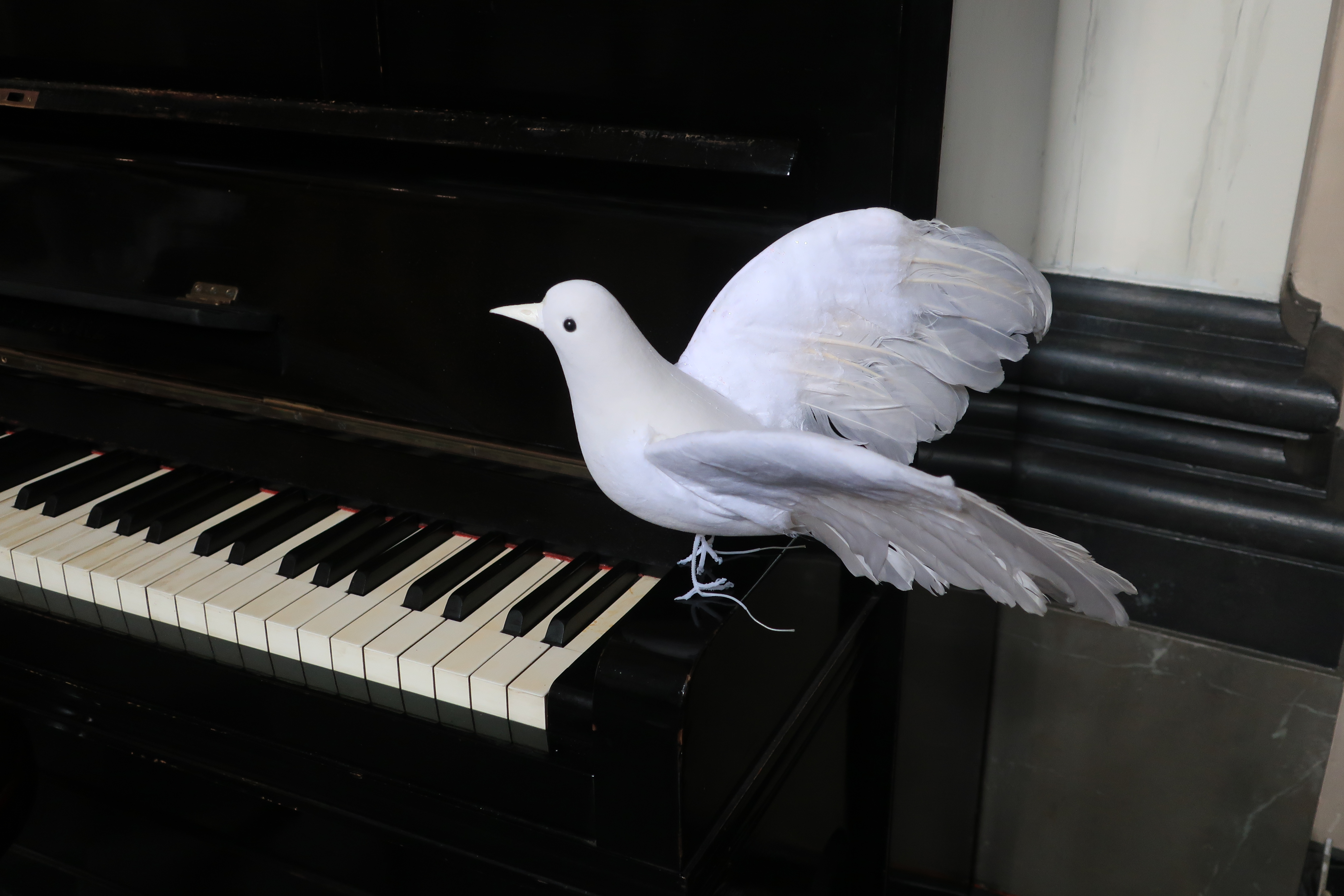 Hagios - Zingen voor Vrede