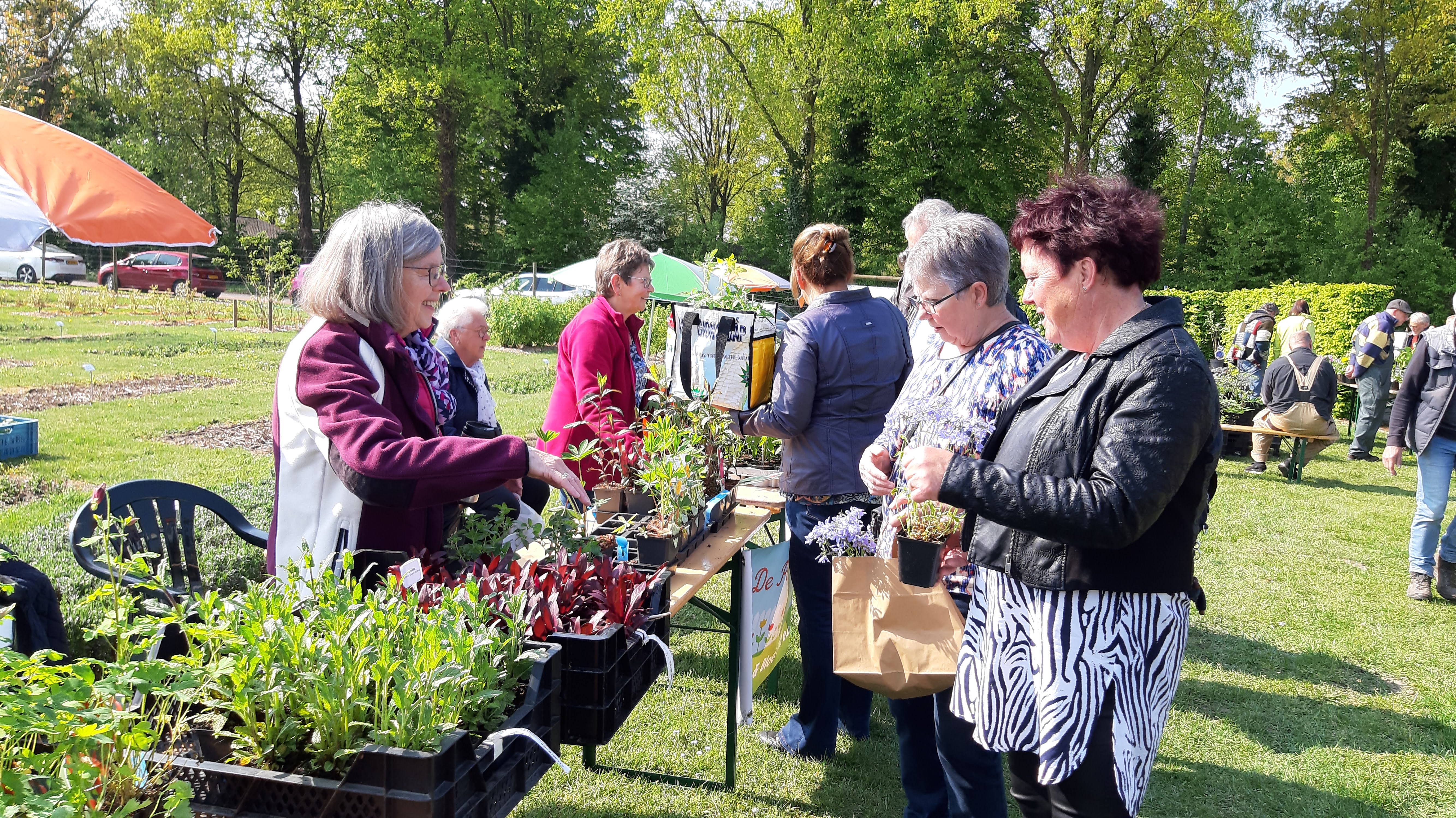 De Plantenmarkt