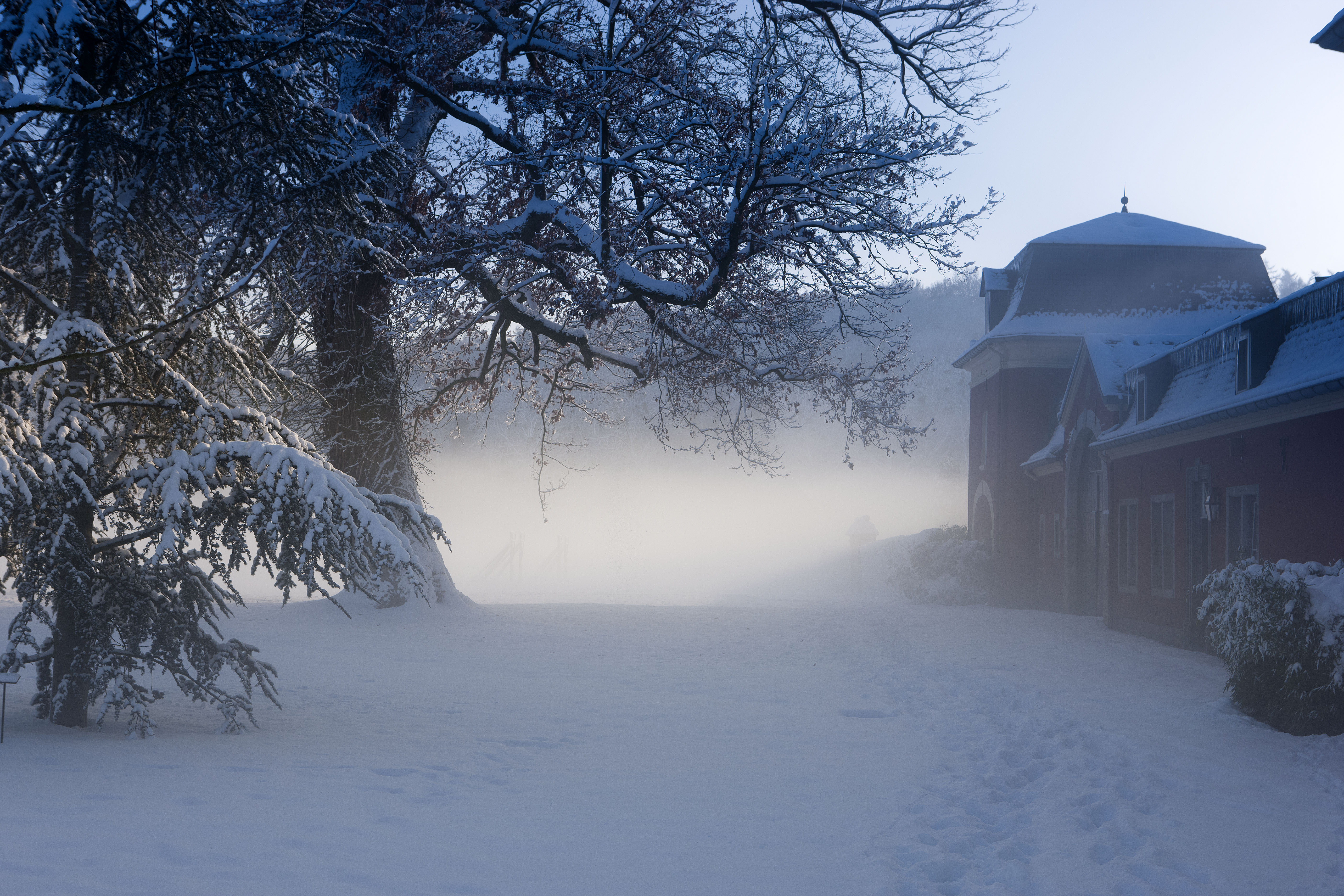 Kribkeswandeling Goudenrood en Houthem-Noord