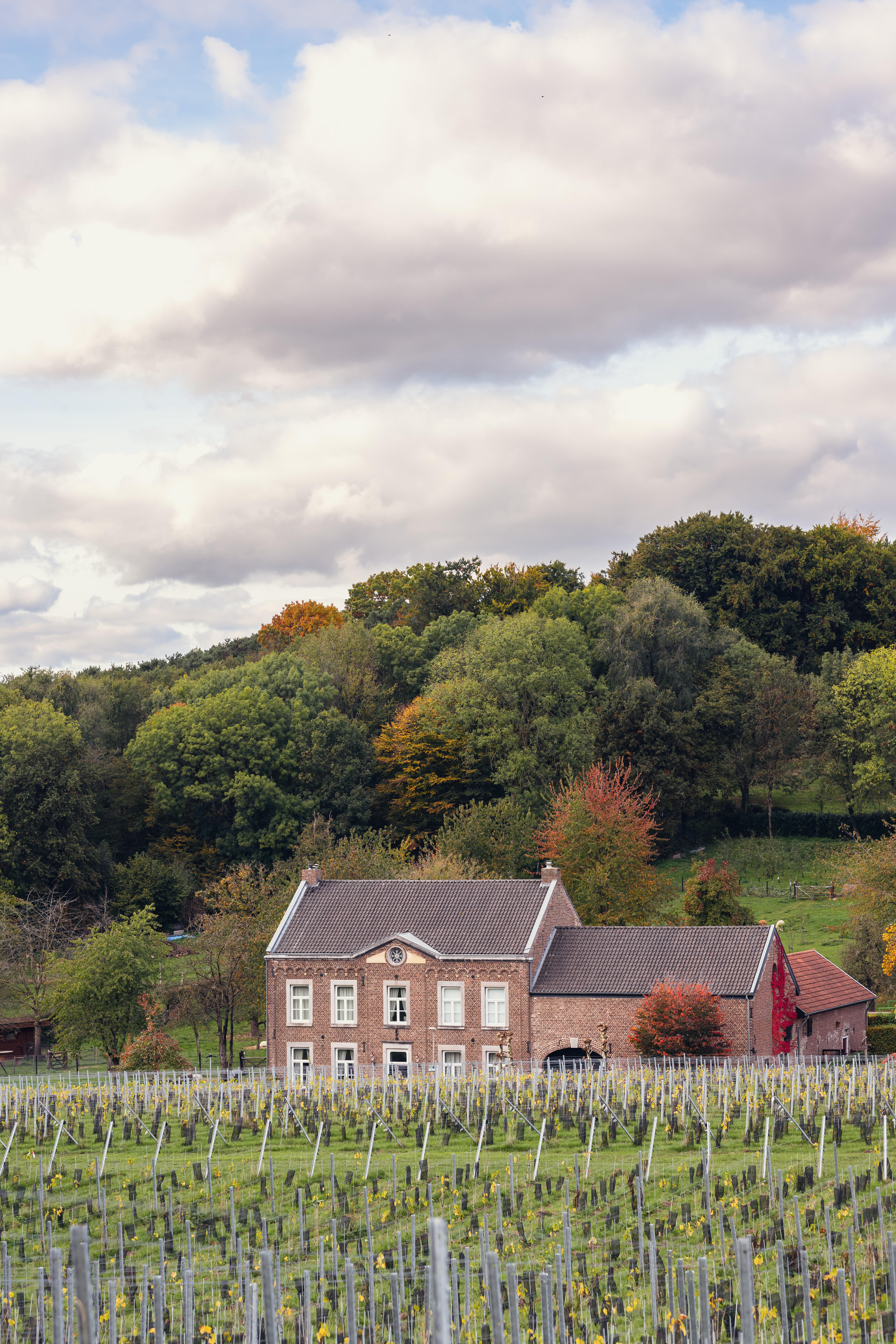 Rondleiding met Proeverij Sterreheim Wijnlandgoed