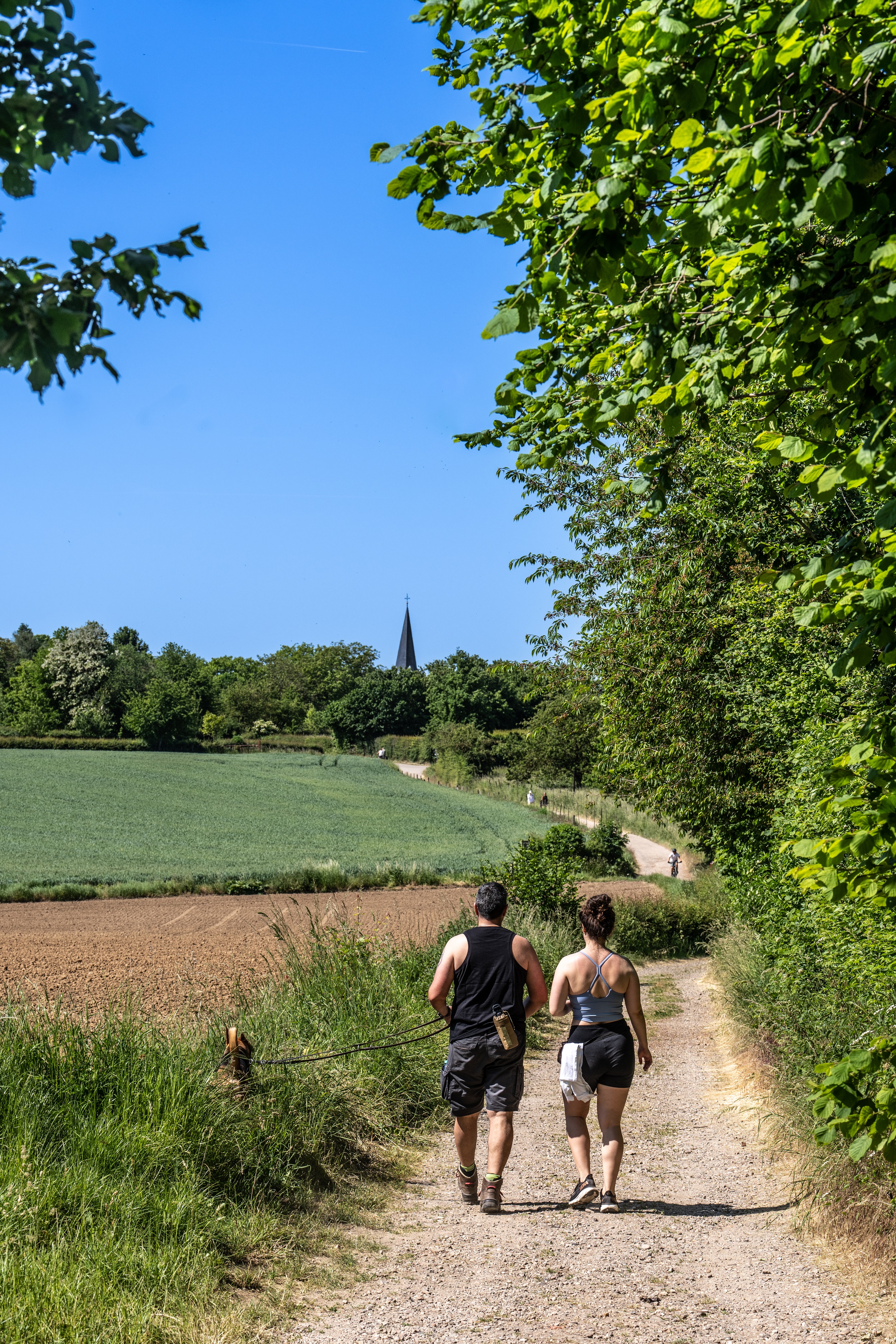 Eijsden-Margraten- Rondje door Gronsveld en Rijckholt