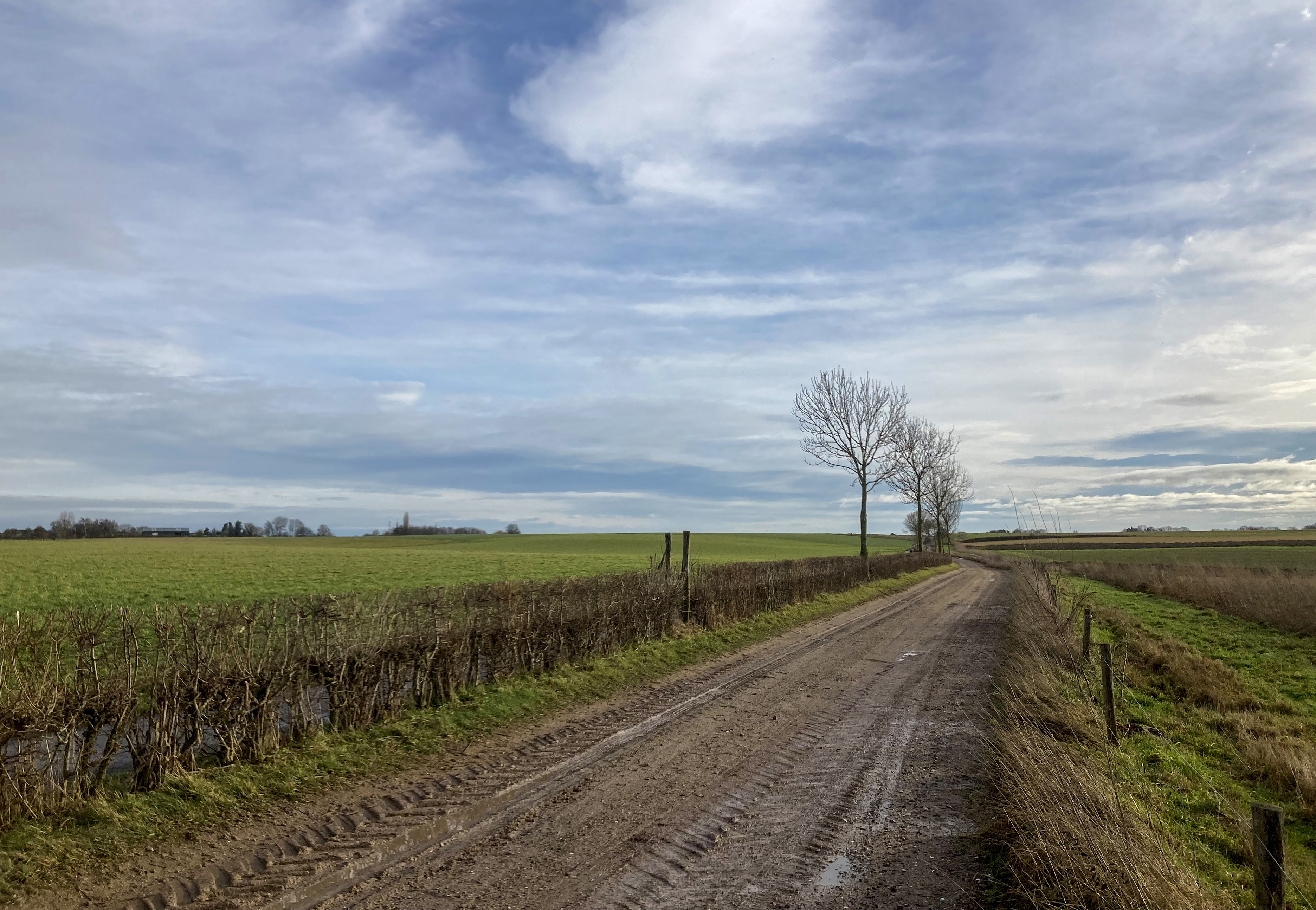 Vasten-wandeling over het plateau