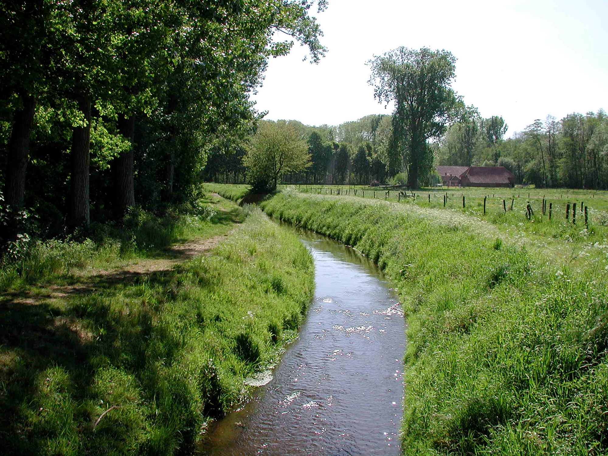 Avond4Daagse Beekdaelen