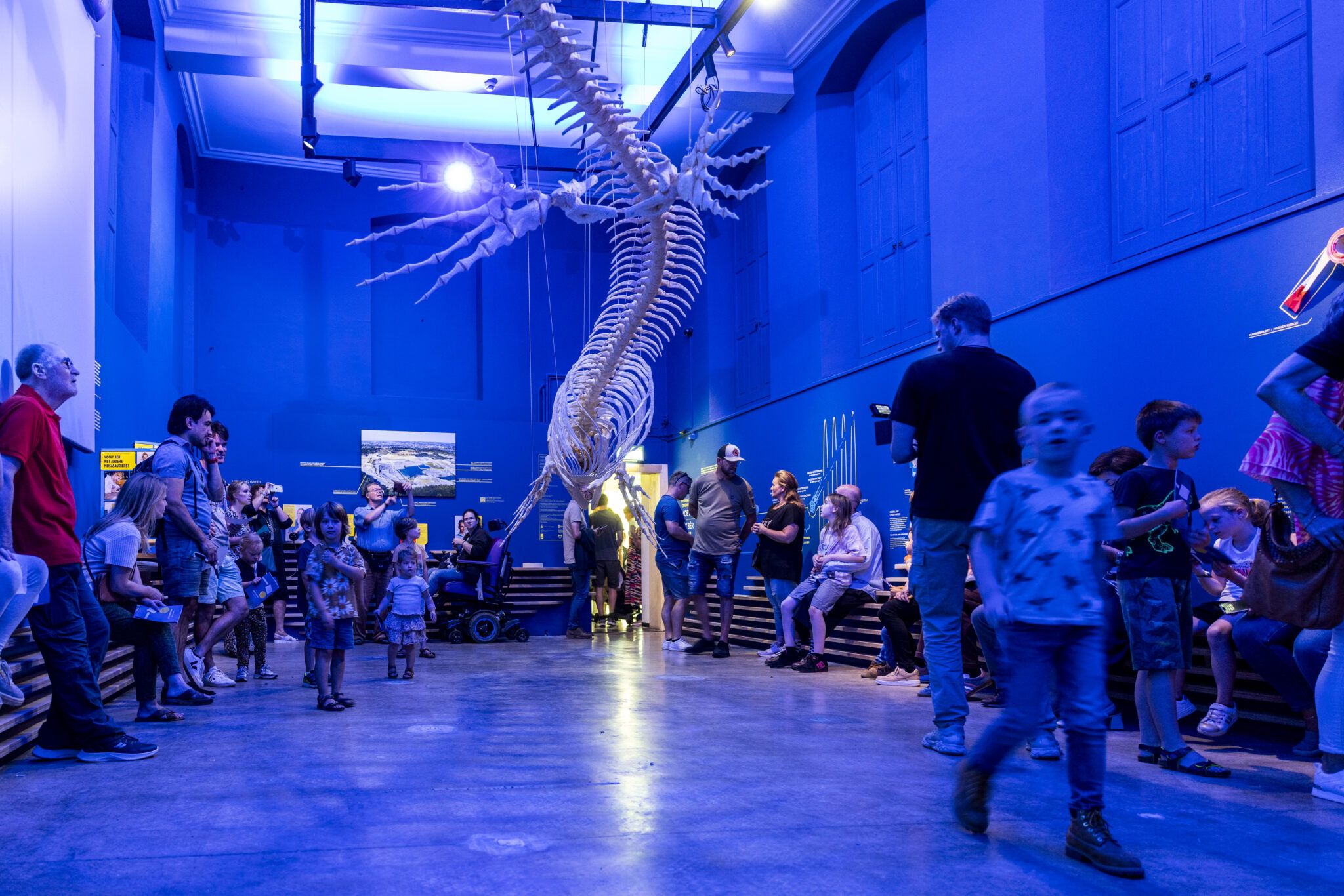 Meivakantie bij het Natuurhistorisch Museum Maastricht