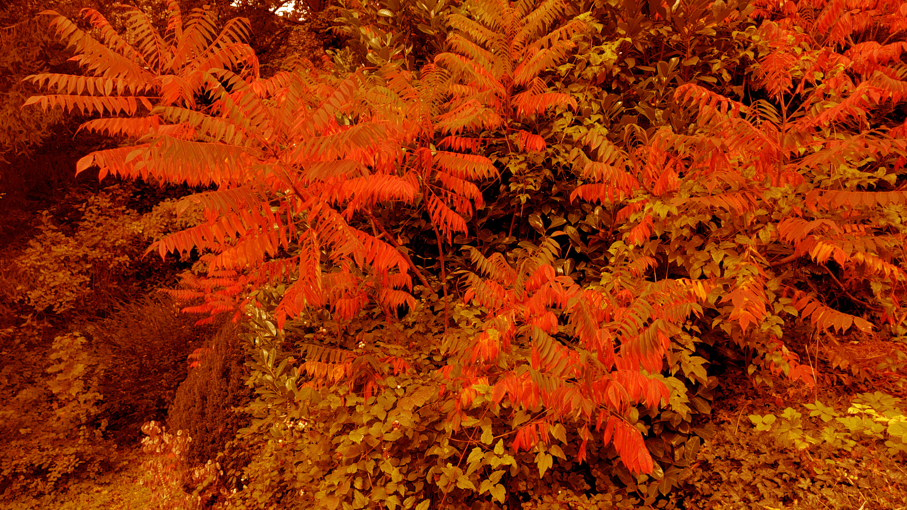 Orange the World - Creatief aan het Werk