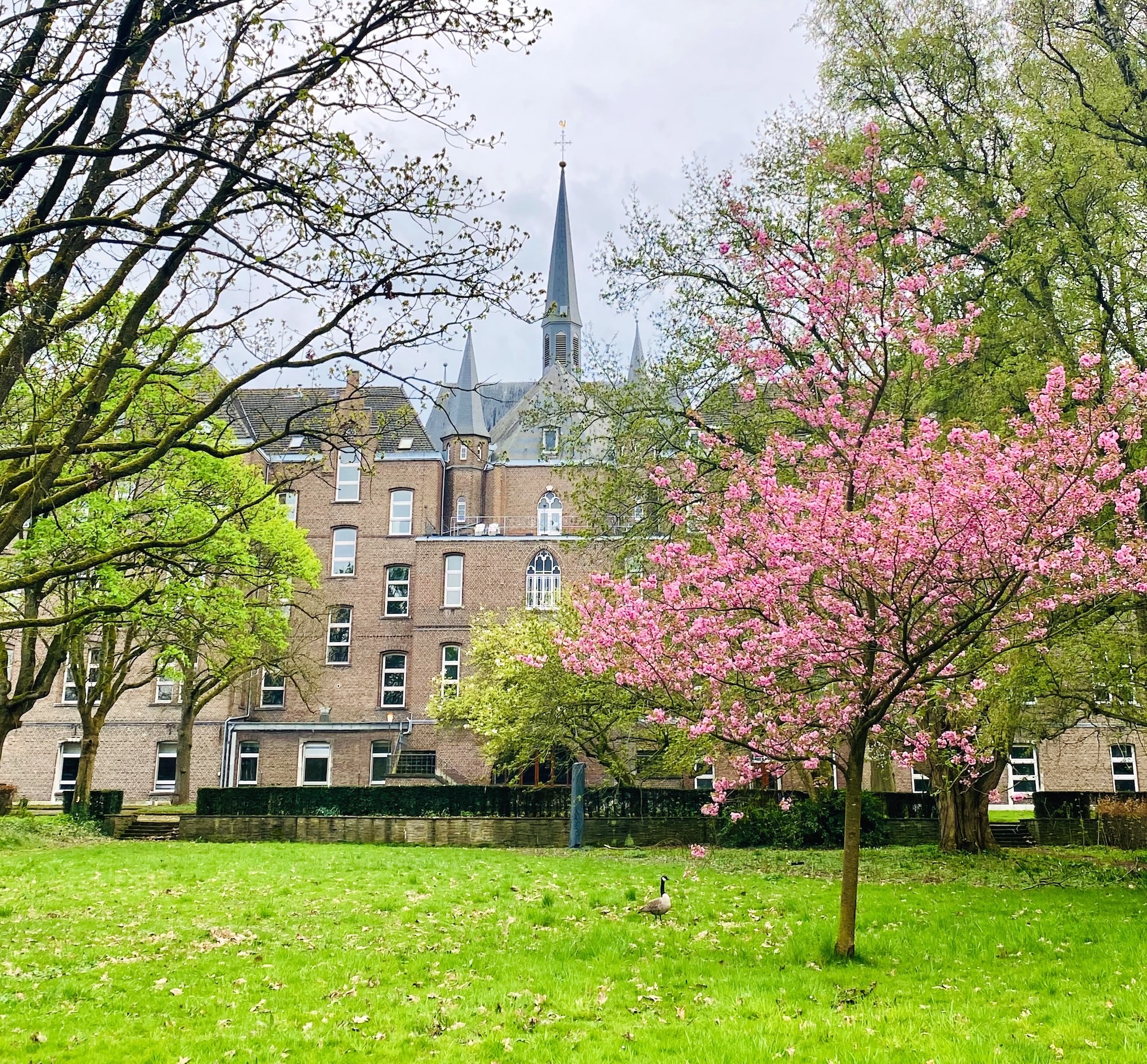 Soloretraite Zingeving