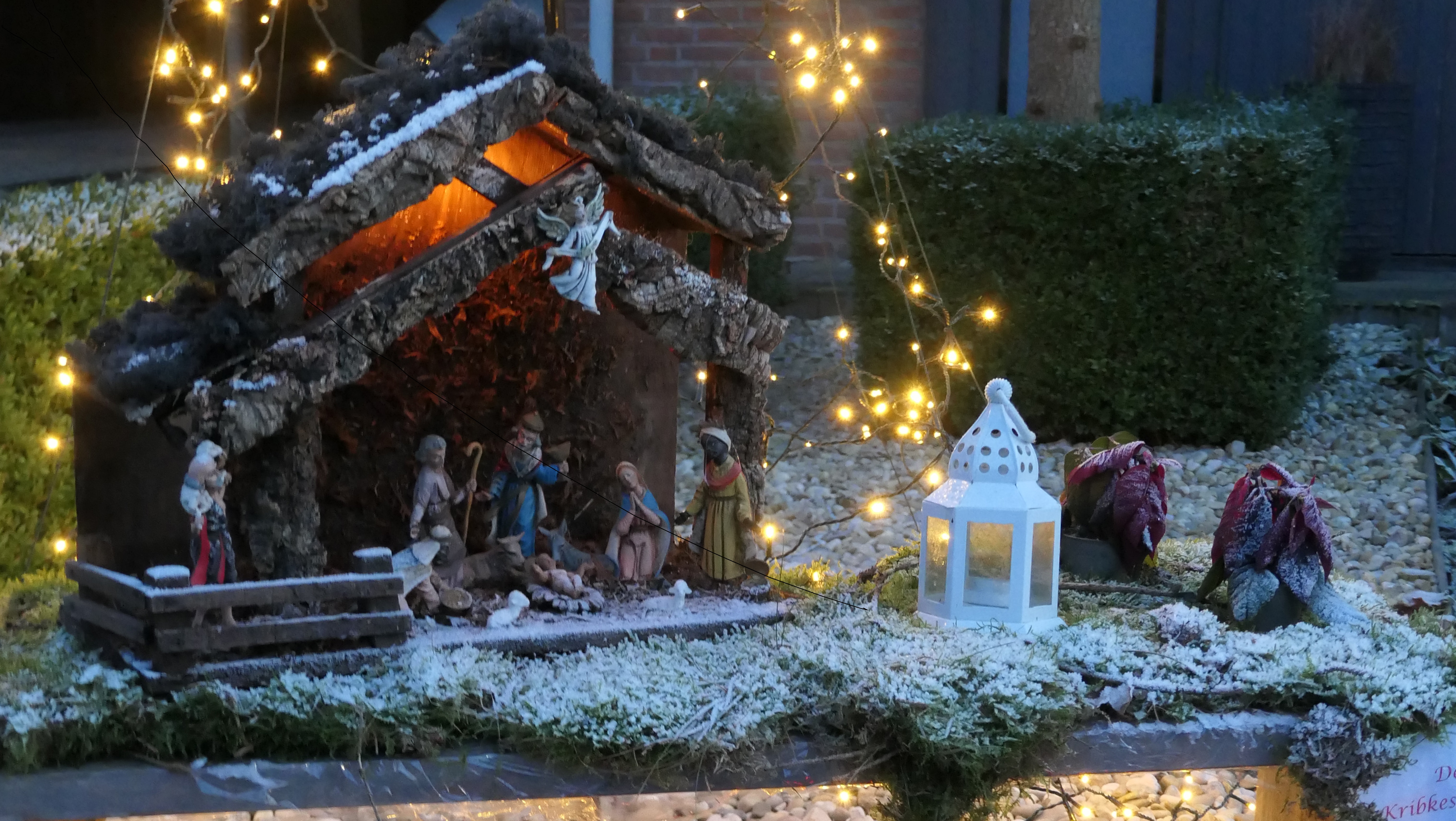 Kribkes- en lichtjeswandeling Winter in Eys