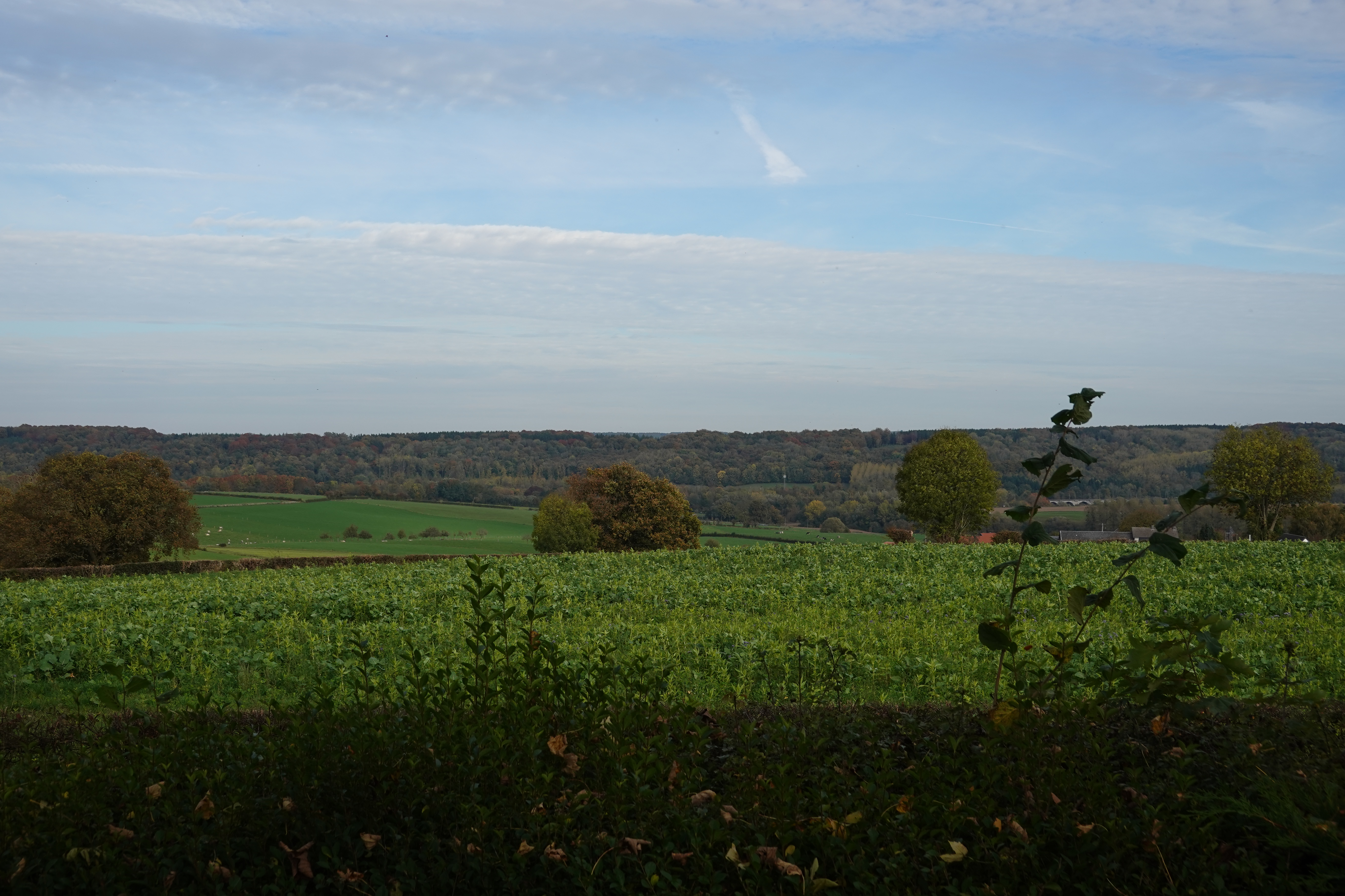Camping Natuurlijk Limburg