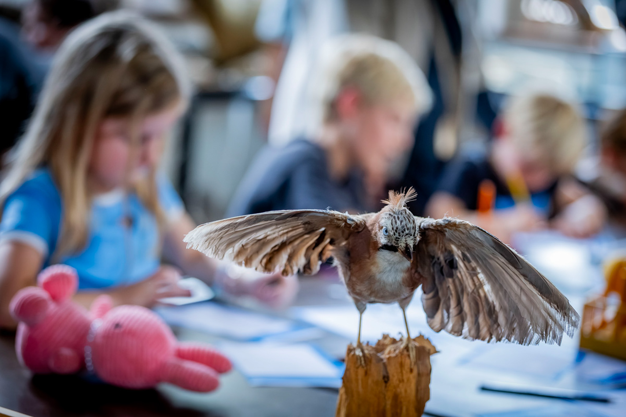 Herfstvakantie in het Natuurhistorisch Museum - Stempels maken met groenten