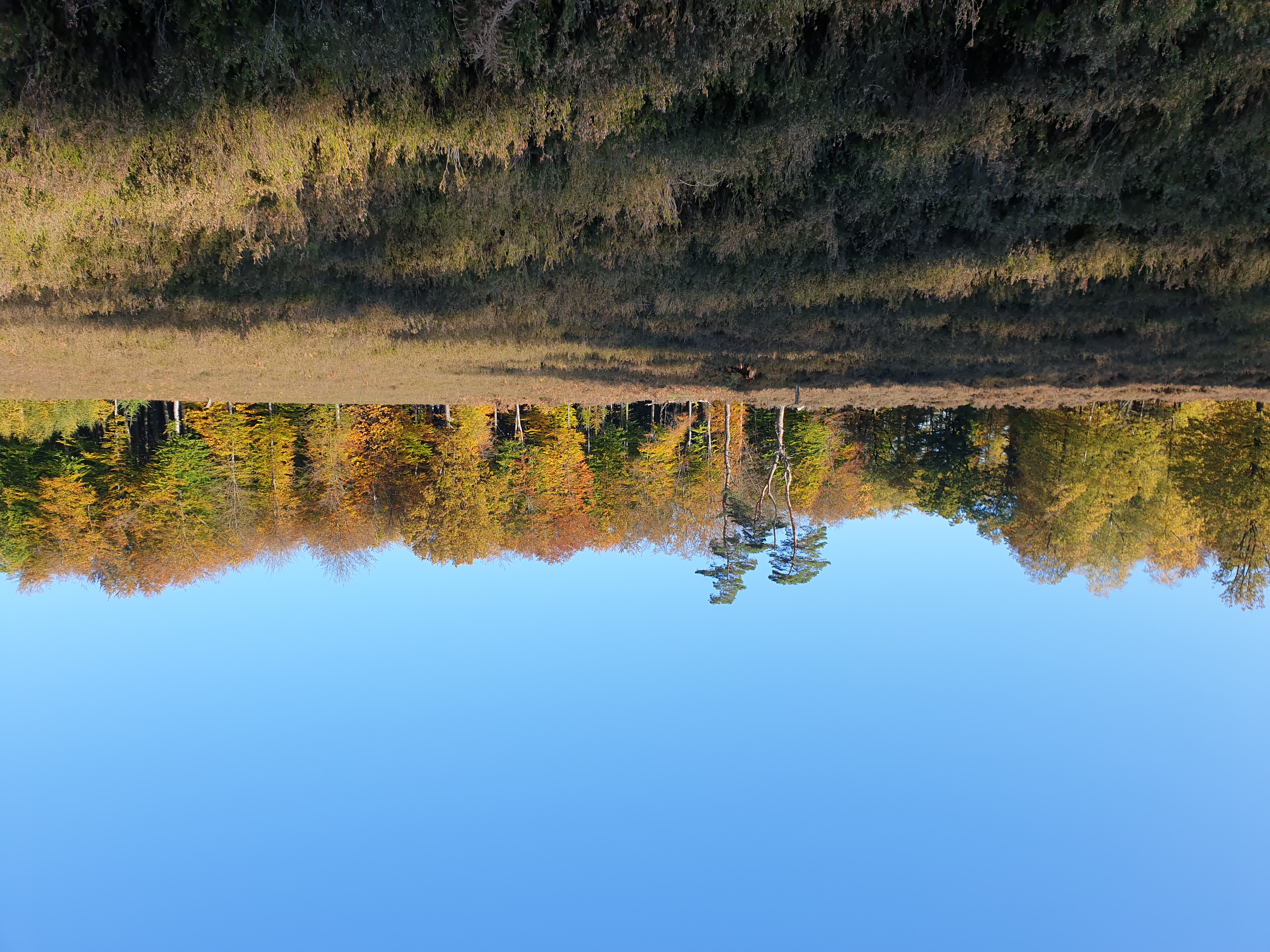 Herfstwandeling Epen