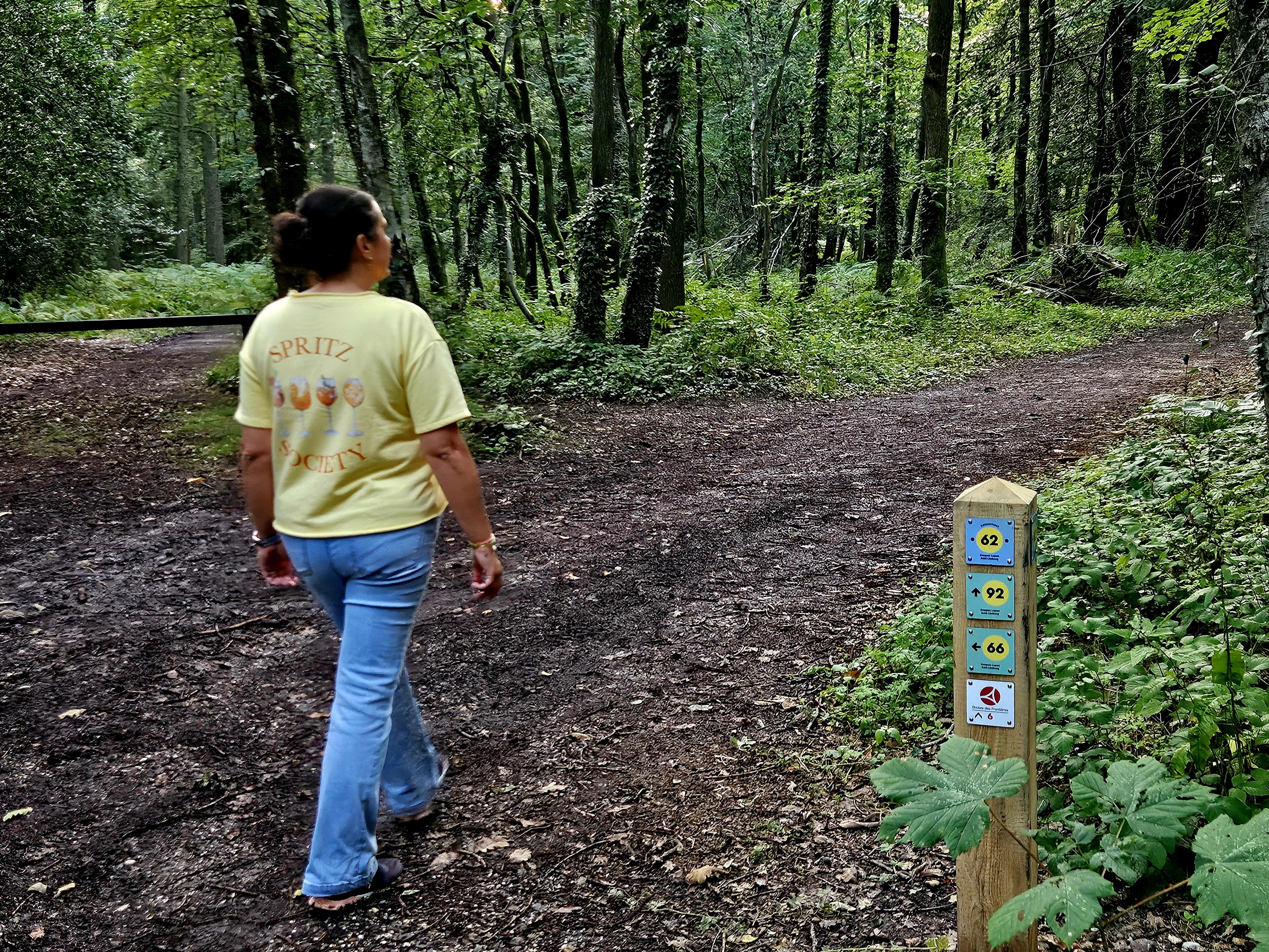 Wandelroute Vaals - Van Vijlen naar Vijlenerbos 