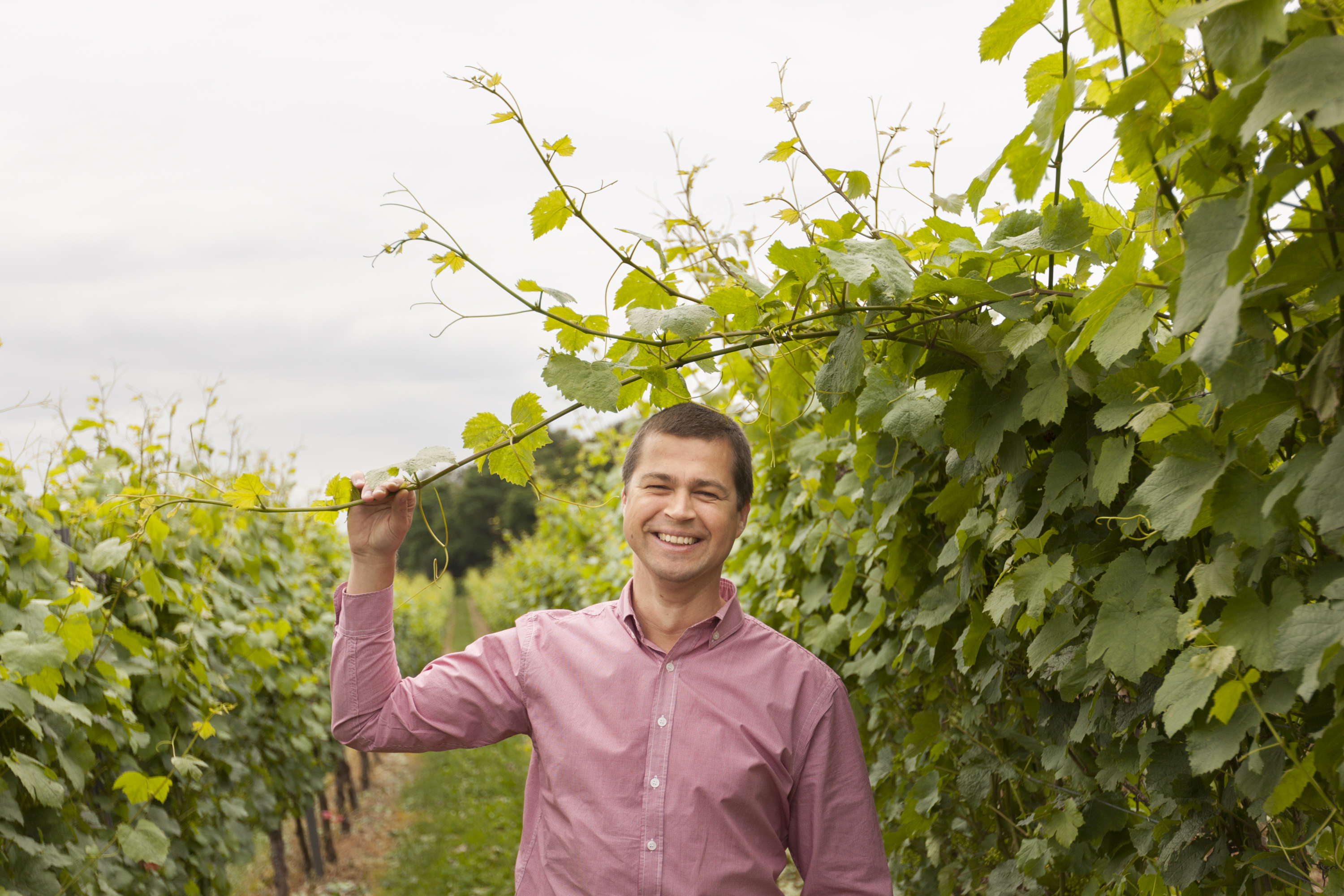 Wijngaardtour per E-bike vanuit Meerssen (Brasserie Bie de Groeve)