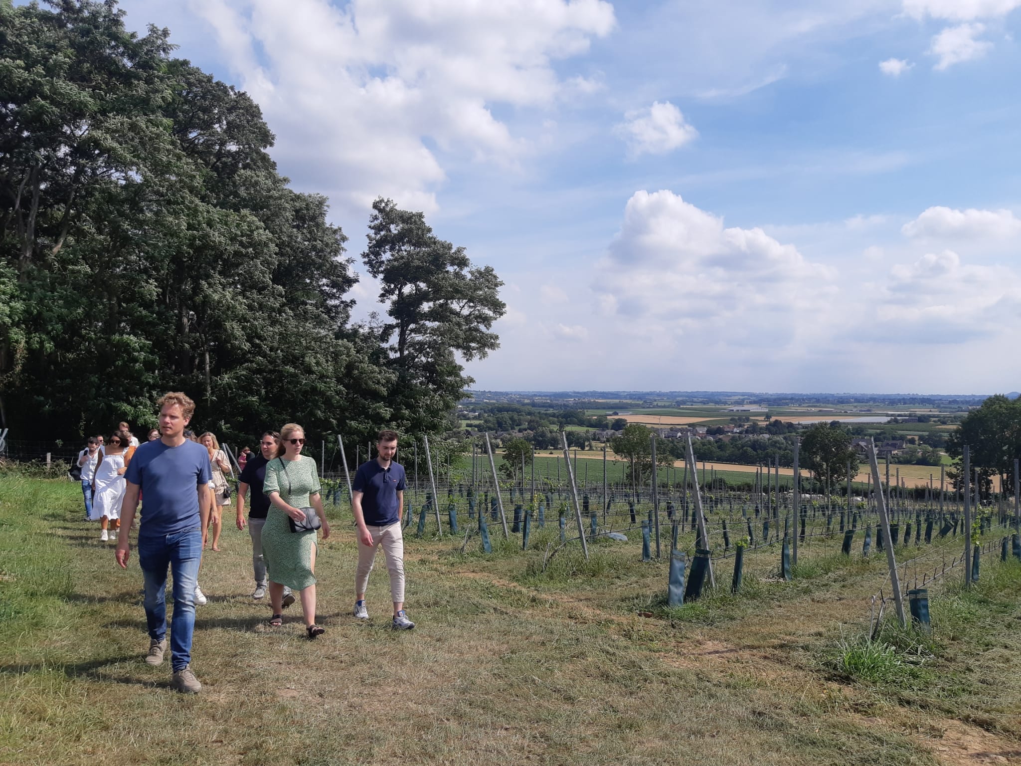 Trailrun Wijndomein Riesenberg