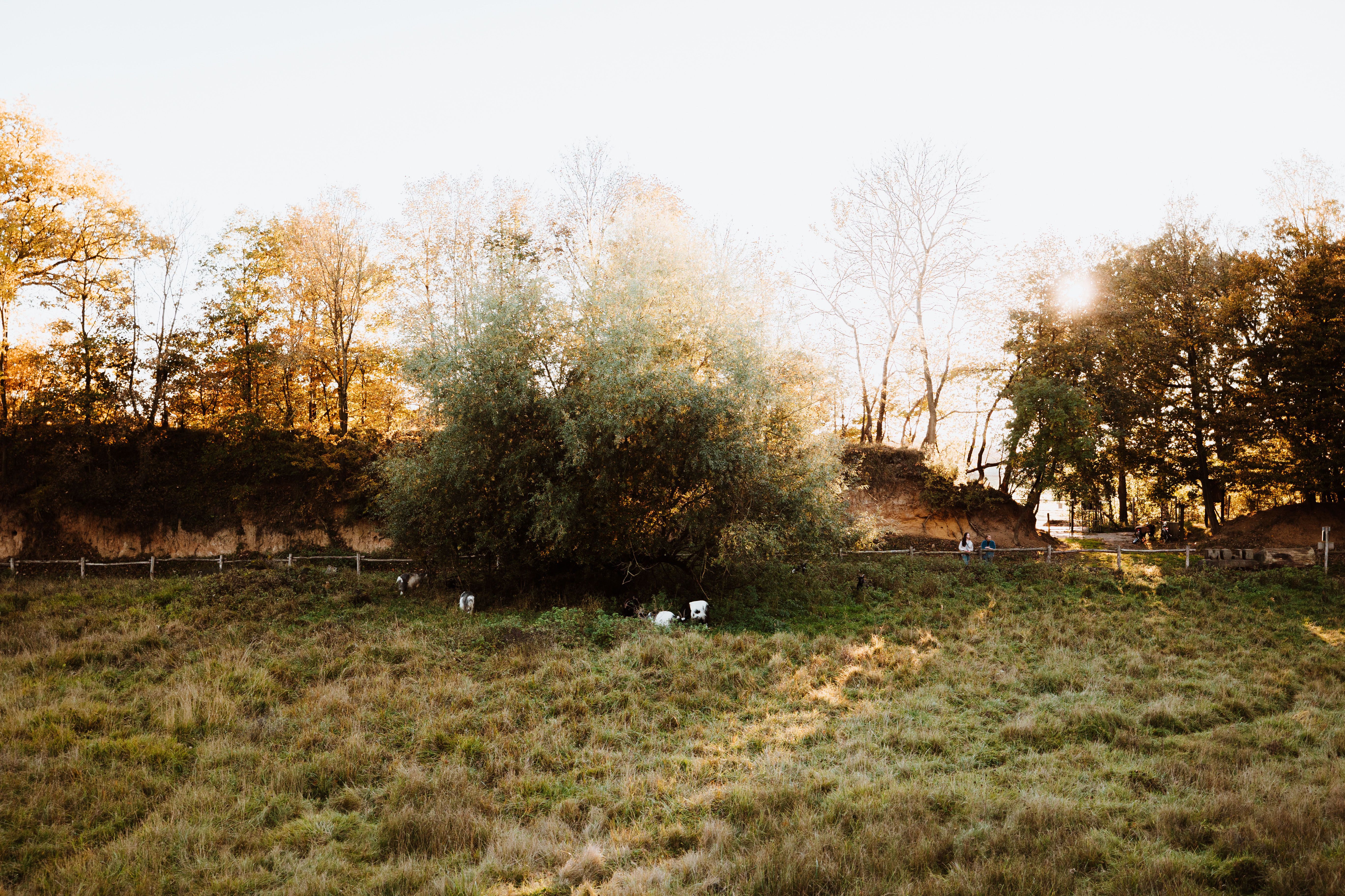 Wandelroute Valkenburg - Langs kalkwanden en graslanden