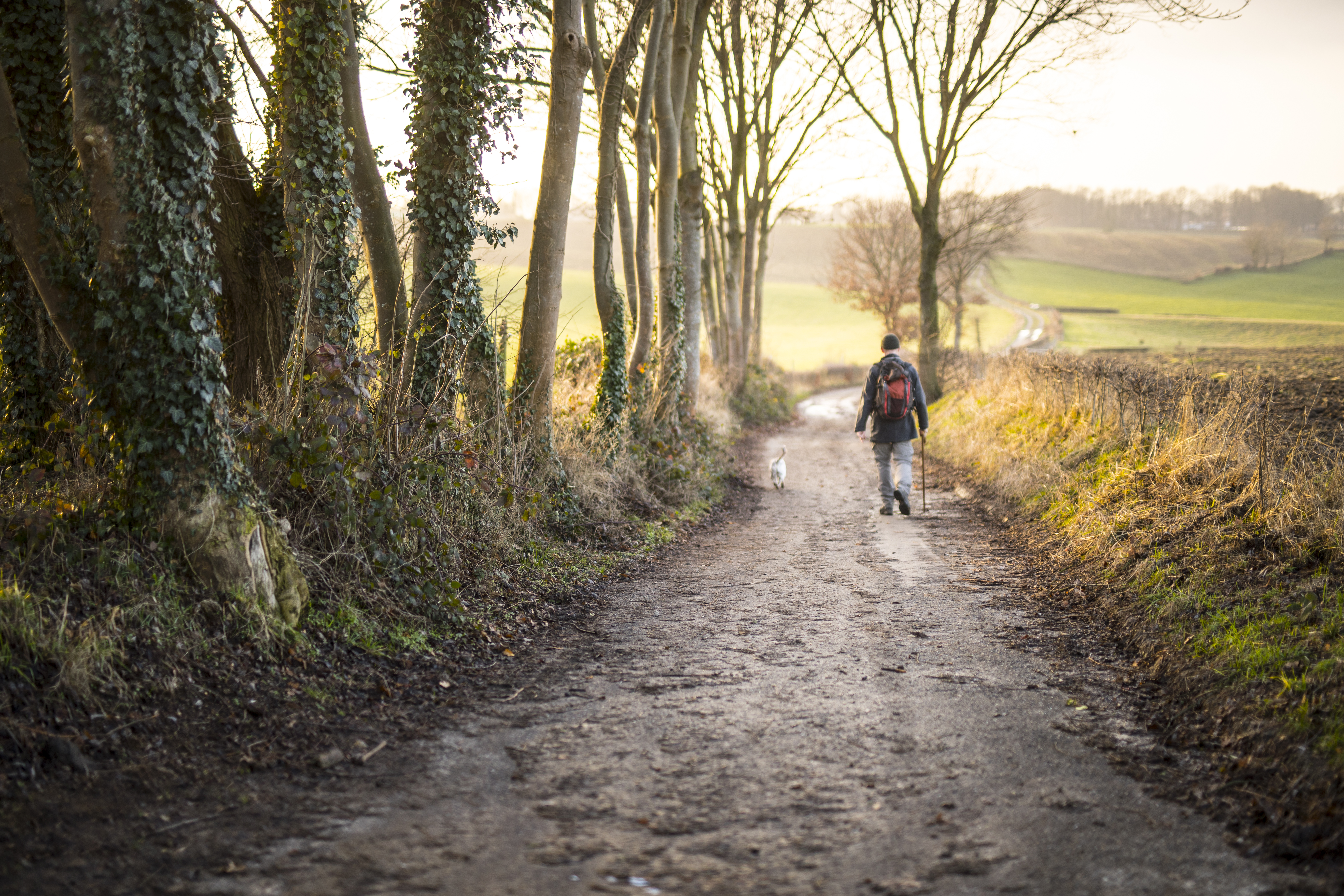 Wandelroute Eijsden-Margraten – Van Eijsden naar de Belgische grens