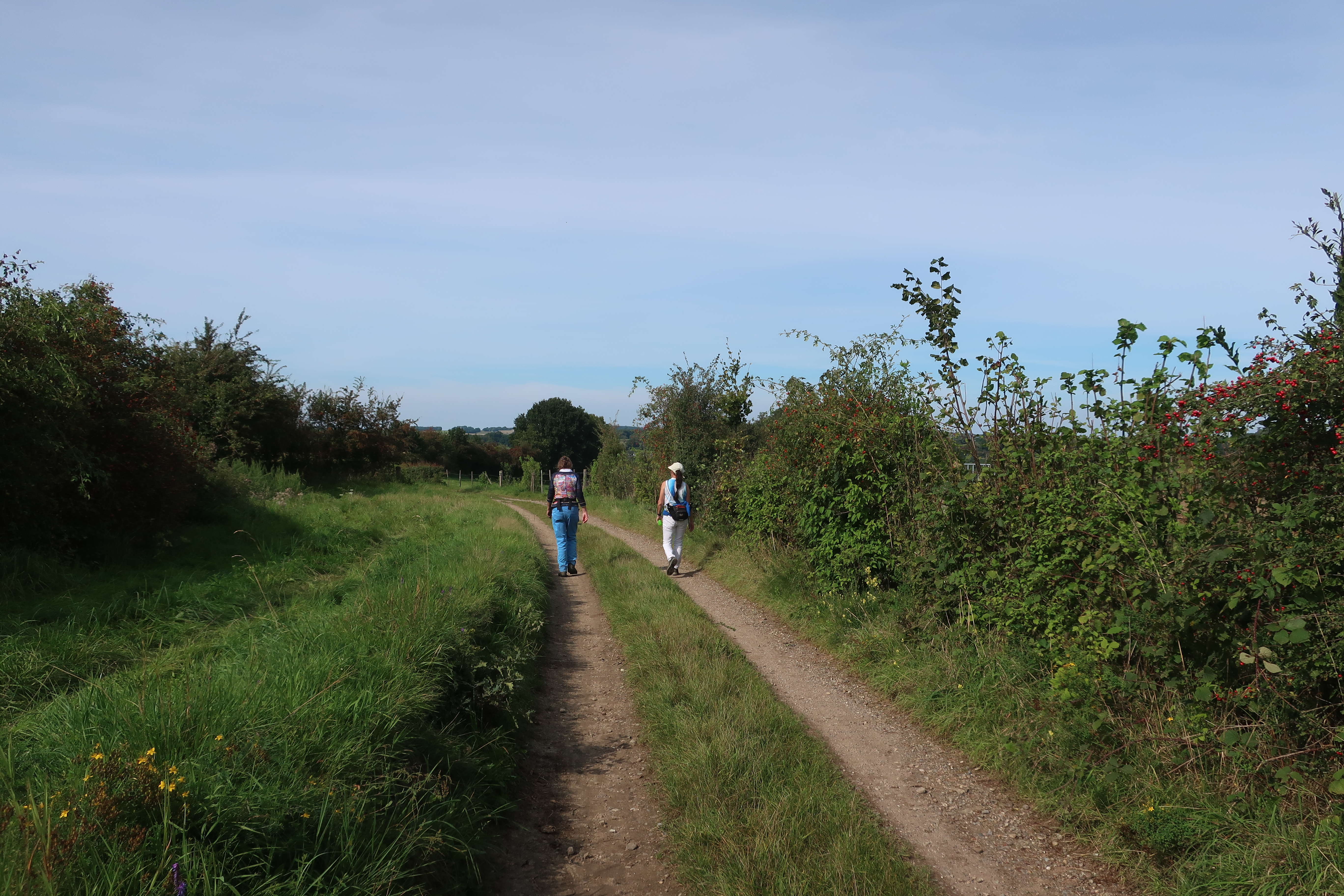 Vierseizoenen wandeling: Natuur op de Grens van Seizoenen